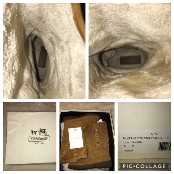 Coach Tullip Signature Suede Boots in Camel - Picture 2 of 8